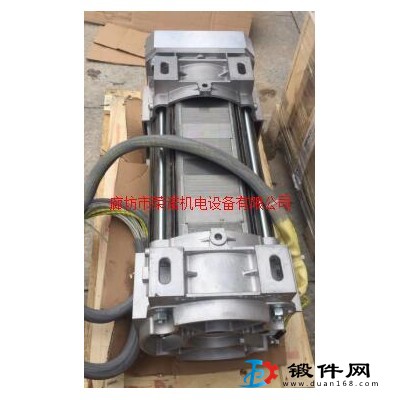 意大利进口 45KW油侵式电机