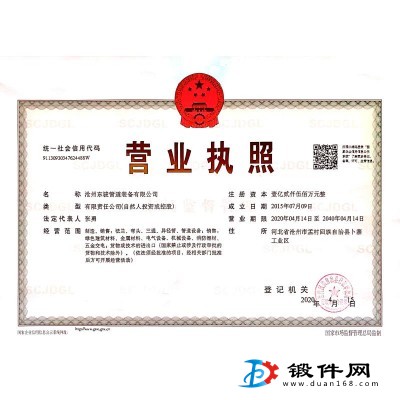 高压锻制对焊法兰